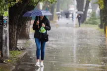 6–12 aprel: O‘zbekistonda ob-havo keskin o‘zgaruvchan bo‘ladi