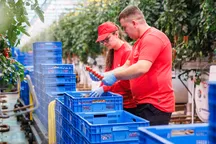 Niderlandiya kompaniyasi 6 ming o‘zbekistonlik ishchini yollamoqchi