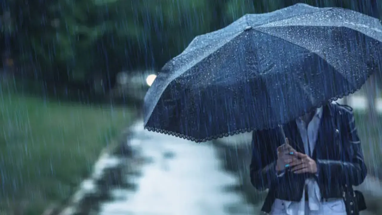 Dam olish kunlari O'zbekistonda qanday ob-havo kutilyapti?