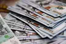 O‘zbekistonda valyuta bozori: talab keskin oshdi, ijobiy saldo $2,9 mlrdga yetdi