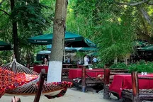 Timur Musin restoranlarini sotuvga qo‘ydi: umumiy qiymati qariyb $25 mln