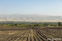 O‘zbekistonda yer ijarasi muddati 49 yil etib belgilanishi mumkin