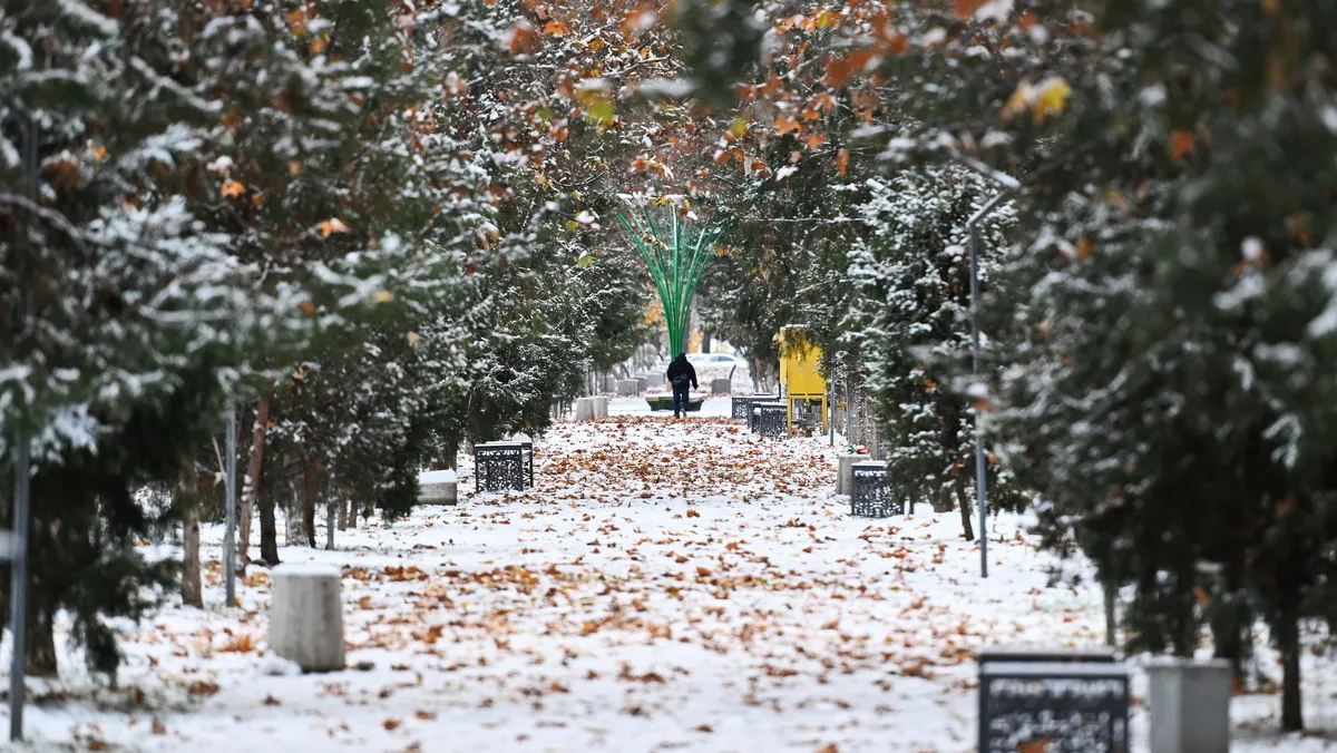 O‘zbekistonda payshanba va juma kunlari qor yog‘ishi kutilmoqda