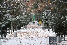 O‘zbekistonda 26-yanvar — 1-fevral kunlari ob-havo qanday bo‘ladi?