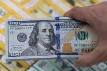 23-fevral dollar kursi qanday bo’ladi?