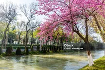 O’zbekistonda 14-15-mart kunlari qanday ob-havo kutilyapti?