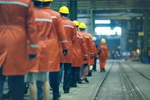 O‘zbekistonliklar AQSH fermalarida oyiga $3500 maosh bilan ishlashi mumkin bo‘ladi