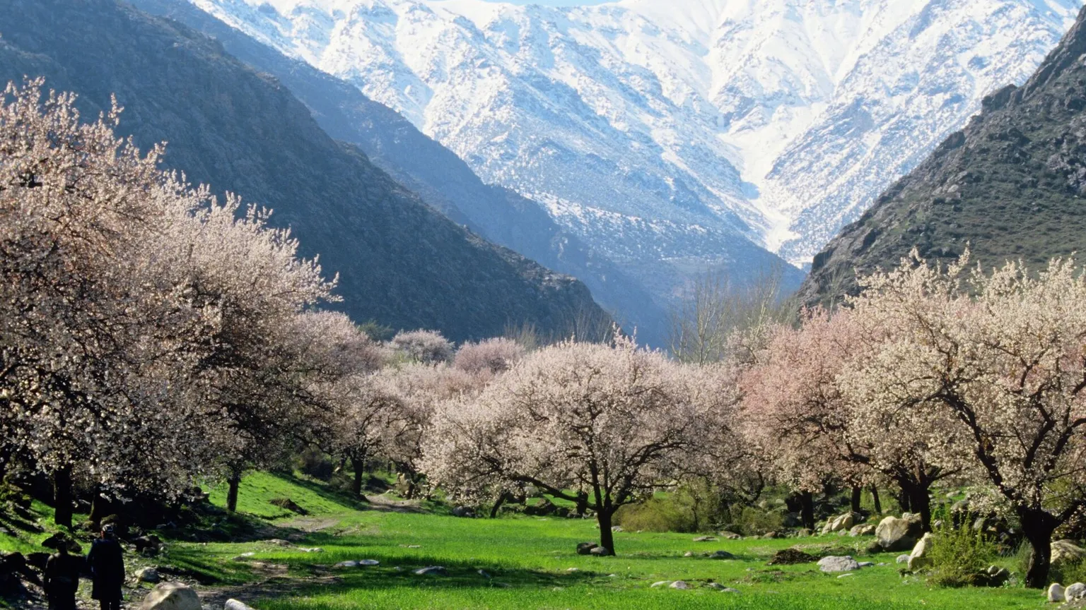 O‘zbekistonda hafta oxirigacha qanday harorat kutilmoqda?