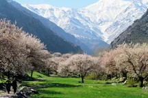 O‘zbekistonda hafta oxirigacha qanday harorat kutilmoqda?