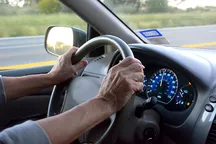 O‘zbekistonlik haydovchilar Bolgariyaga ishga taklif qilinmoqda