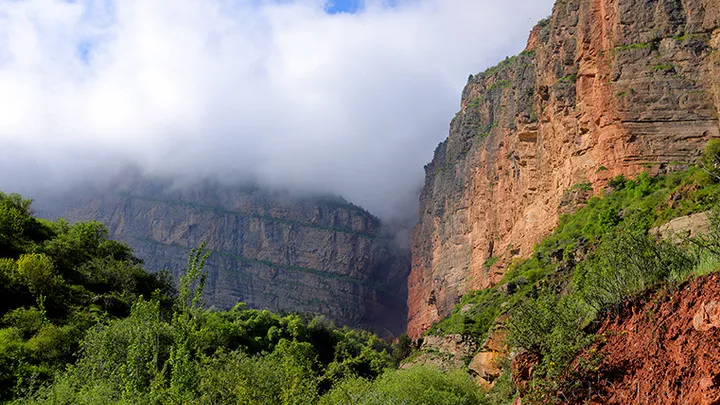 Surxondaryoda issiqxona mahsuloti Toshkentga nisbatan 2,5 baravar arzon