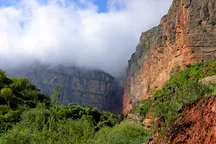 Surxondaryoda issiqxona mahsuloti Toshkentga nisbatan 2,5 baravar arzon