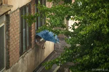 O‘zbekistonda 27-mart kuni ob-havo: ba’zi hududlarda chang-to‘zon kutilmoqda