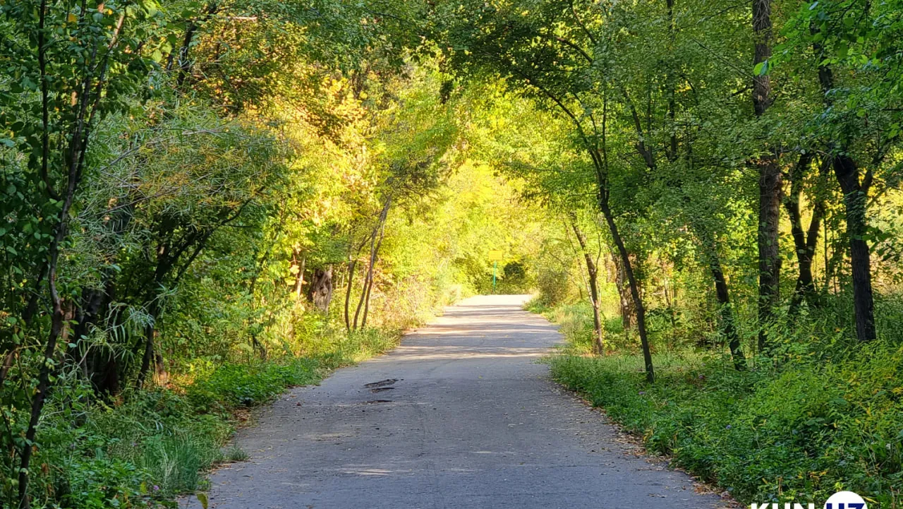 Botanika bog‘ida endi samokat haydab bo‘lmaydi: yangi taqiq joriy etildi
