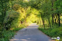 Botanika bog‘ida endi samokat haydab bo‘lmaydi: yangi taqiq joriy etildi