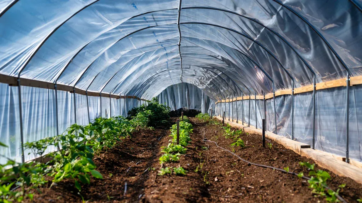 Issiqxonalar Toshkentdan ko‘chiriladimi? Yangi qaror tafsilotlari