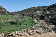 Aprelda O‘zbekistonda qanday ob-havo kutilyapti?