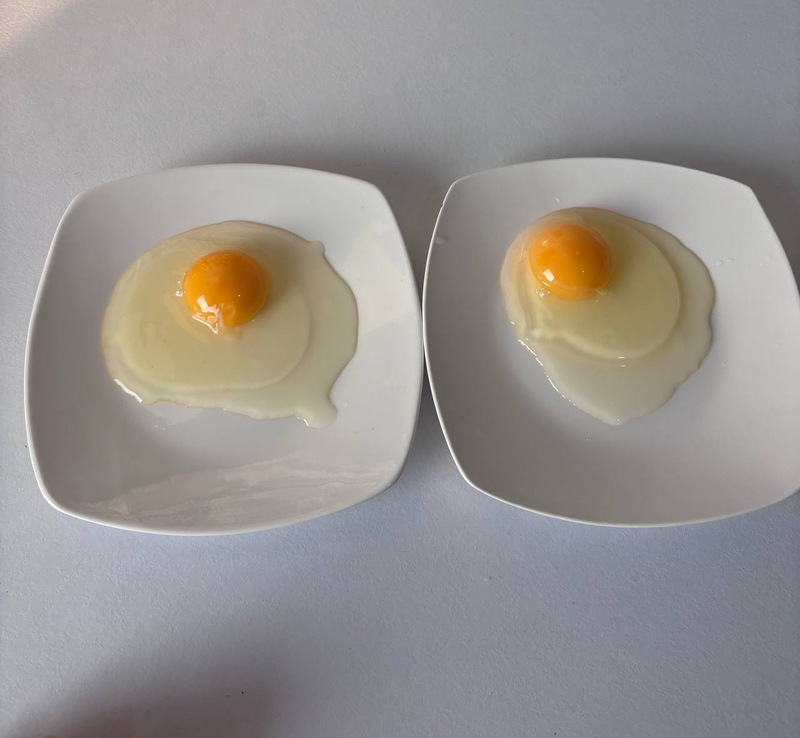 Chap tomonda –davlat tuxumi, o’ng tomonda- uy tuxumi