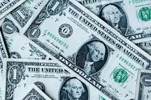 8-yanvar kuni dollar kursi oshishi kutilmoqda