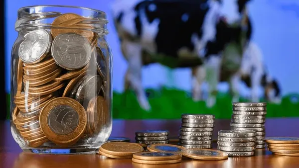 O‘zbekiston Belarusda yer ijaraga olib, qoramol yetishtiradi