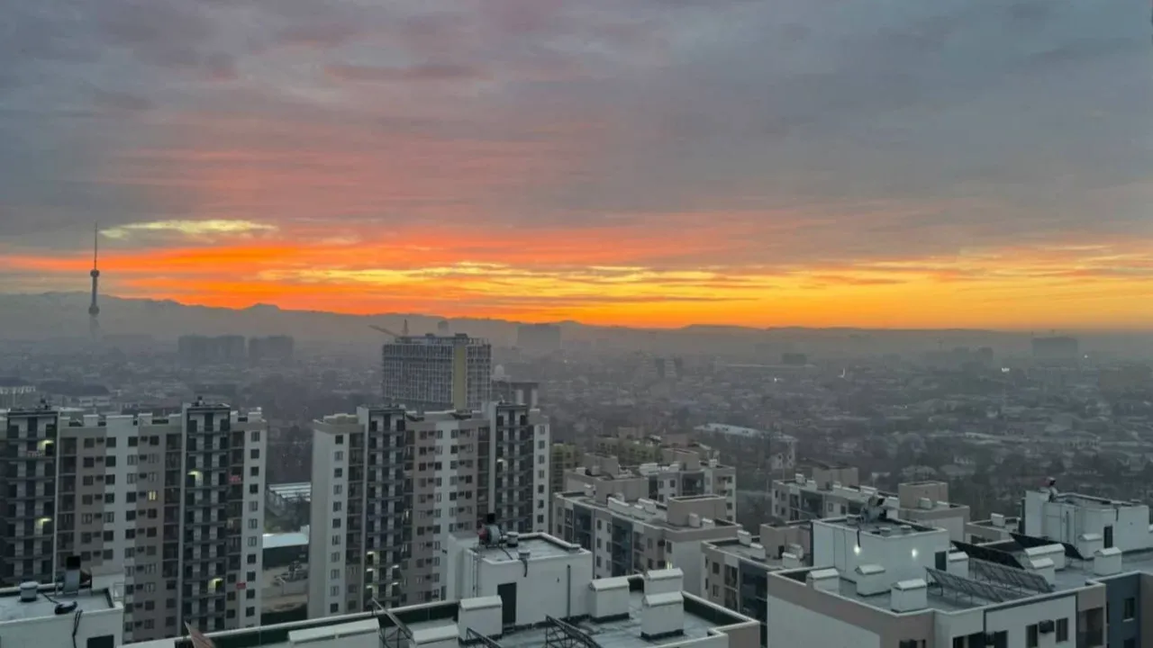 O’zbekistonda hafta davomida qanday ob-havo kutilyapti? 2-8-fevral kunlari prognozi